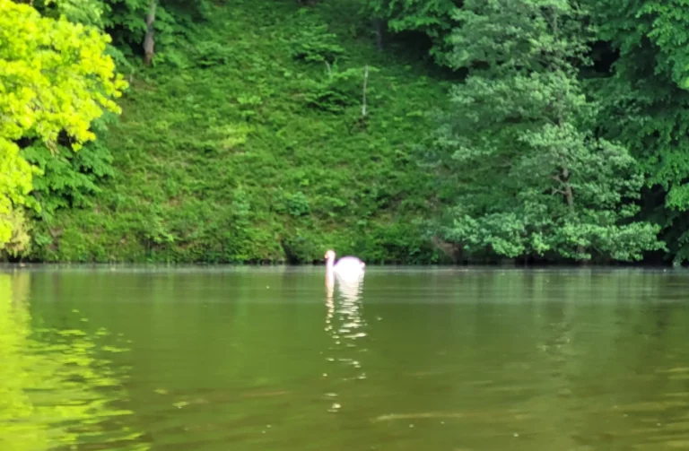 kajaki rzeka wda dworzec tlen (2)