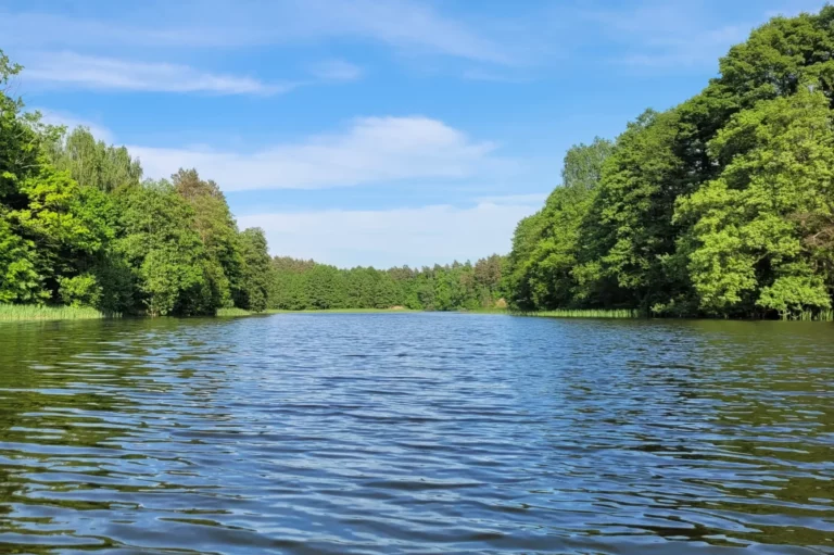 kajaki rzeka wda dworzec tlen (3)