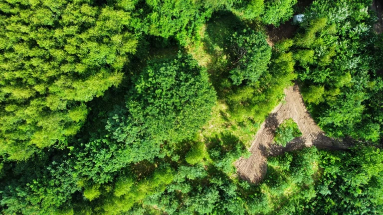 noclegi tleń blisko jeziora (4)