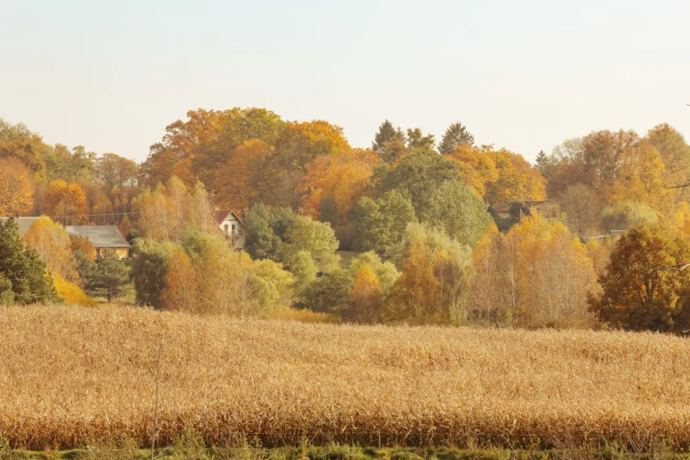noclegi tleń blisko jeziora (59)