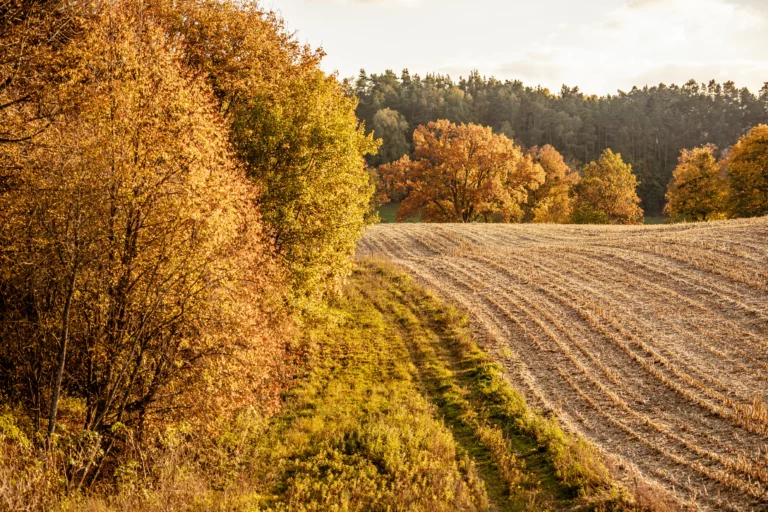 noclegi tleń blisko jeziora (60)