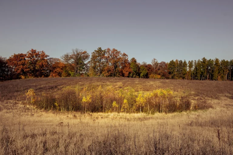 noclegi tleń blisko jeziora (62)