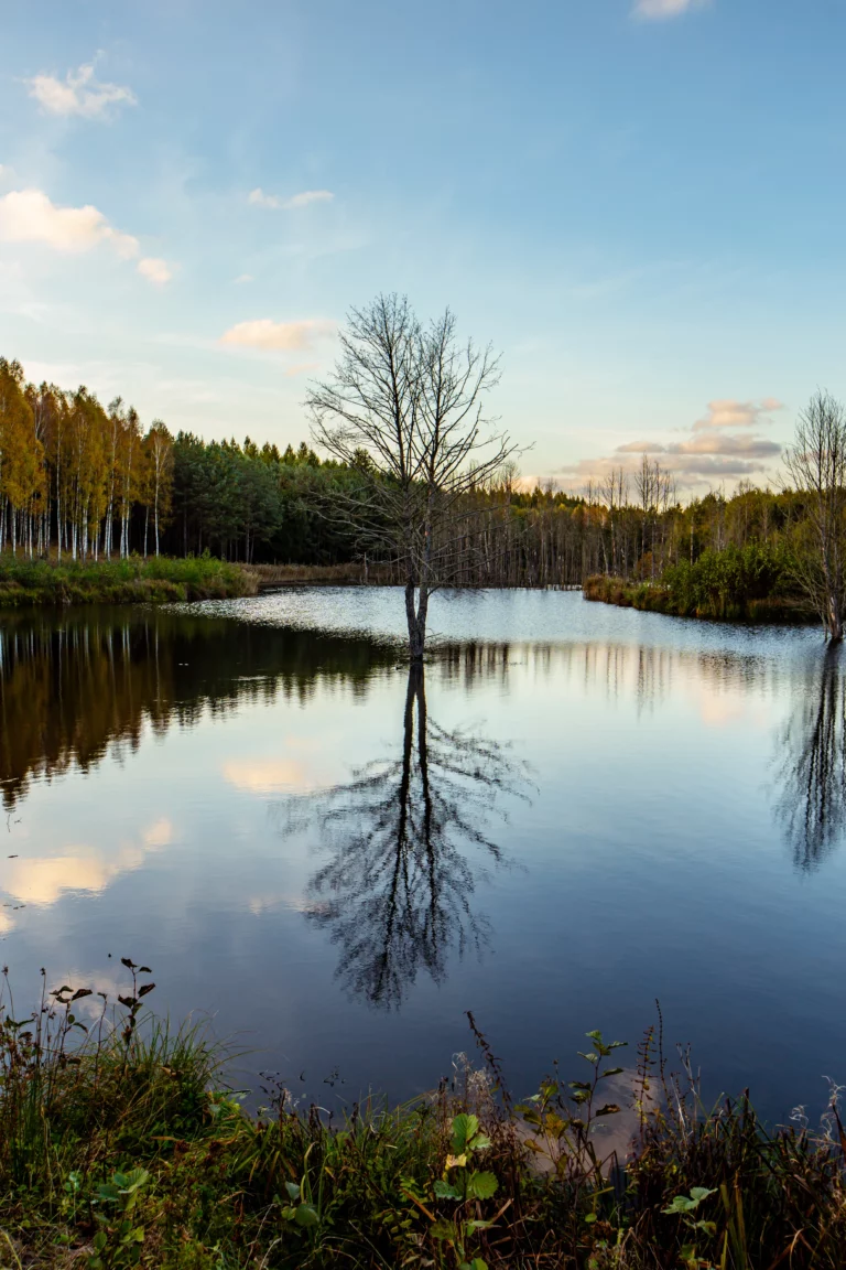 noclegi tleń blisko jeziora (71)