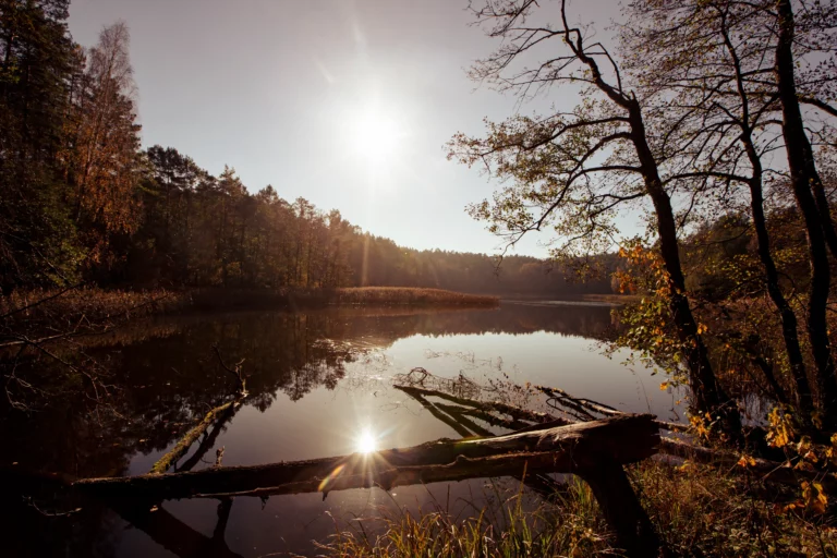noclegi tleń blisko jeziora (81)