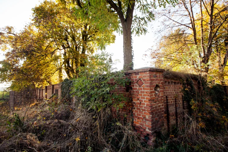 noclegi tleń blisko jeziora (85)