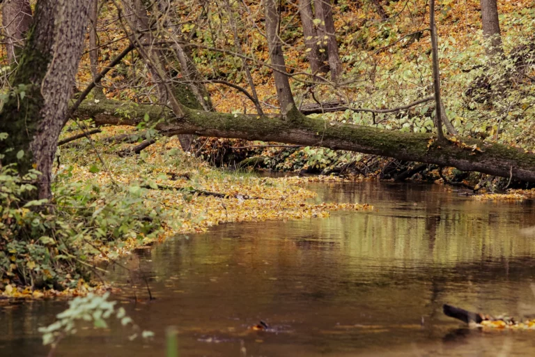 noclegi tleń blisko jeziora (87)