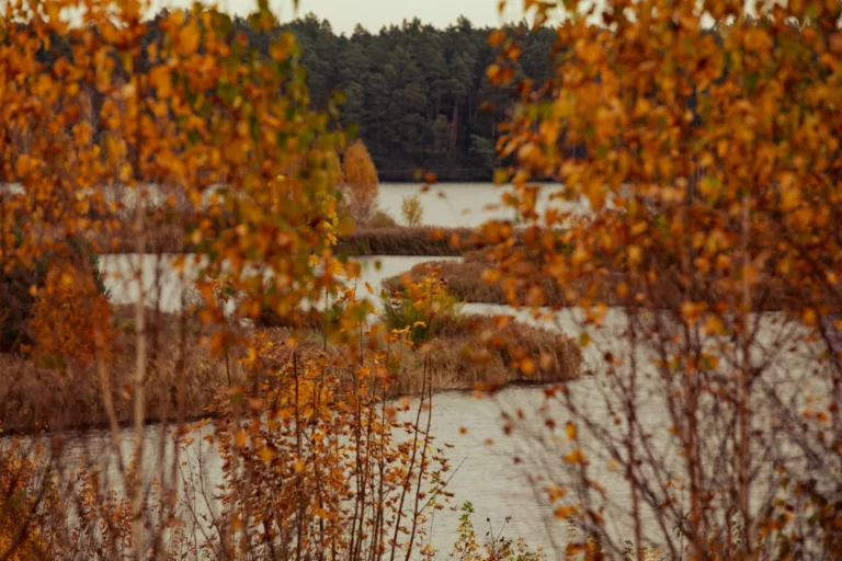 noclegi tleń blisko jeziora (89)