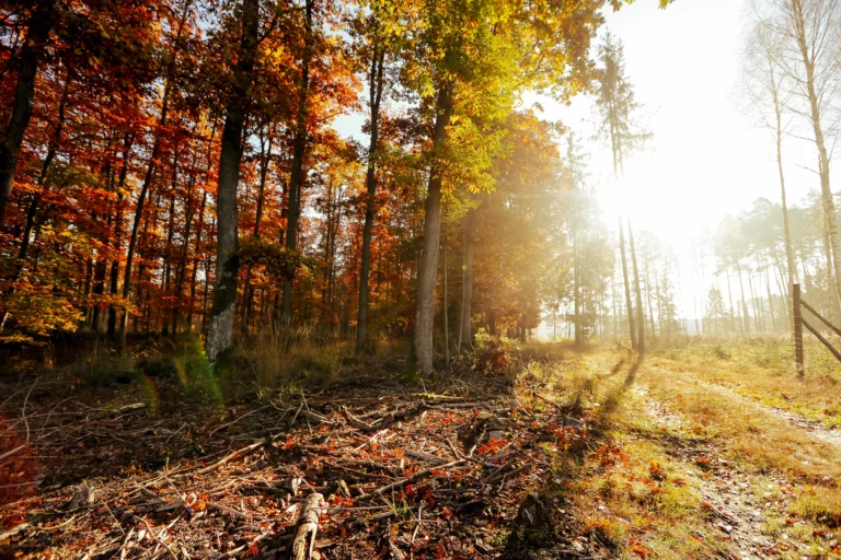 spływ kajakowy wda rowery dworzec tleń (1)