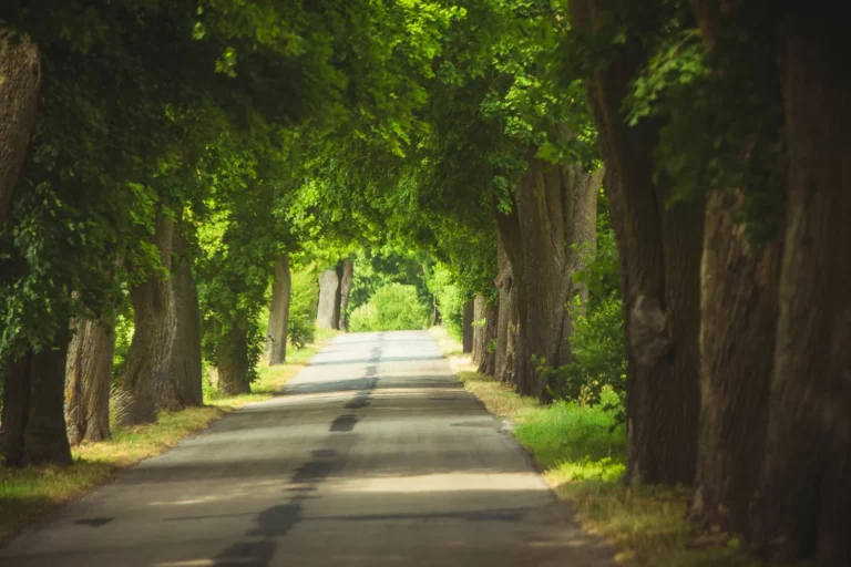 spływ kajakowy wda rowery dworzec tleń (3)