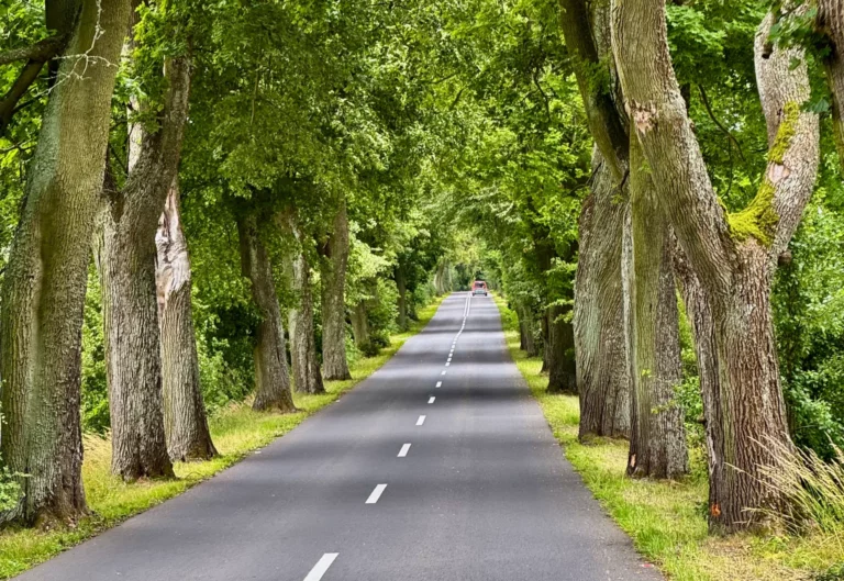 spływ kajakowy wda rowery dworzec tleń (4)