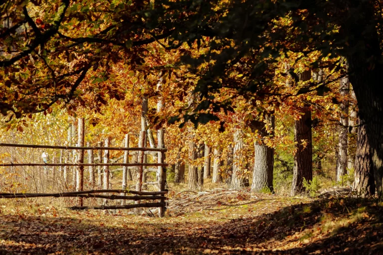 spływ kajakowy wdą spacery dworzec tleń (1)
