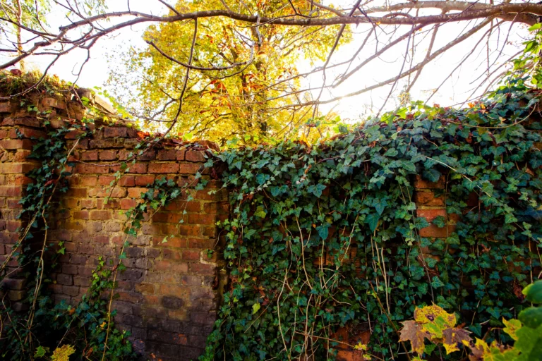 spływ kajakowy wdą spacery dworzec tleń (5)